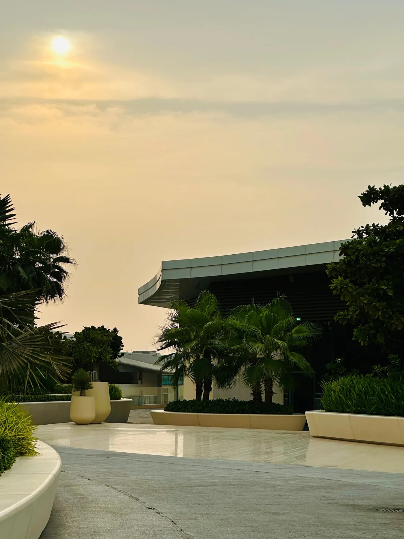 Stock photograph of a landscaped courtyard with palm trees at sunset