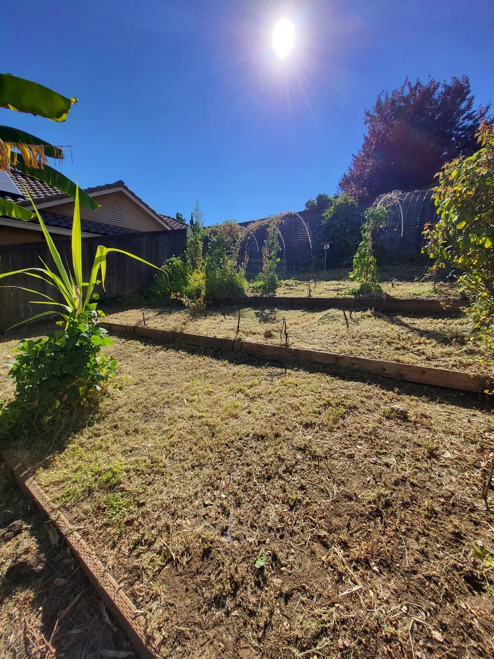 Yard after debris and overgrowth removal in El Dorado Hills